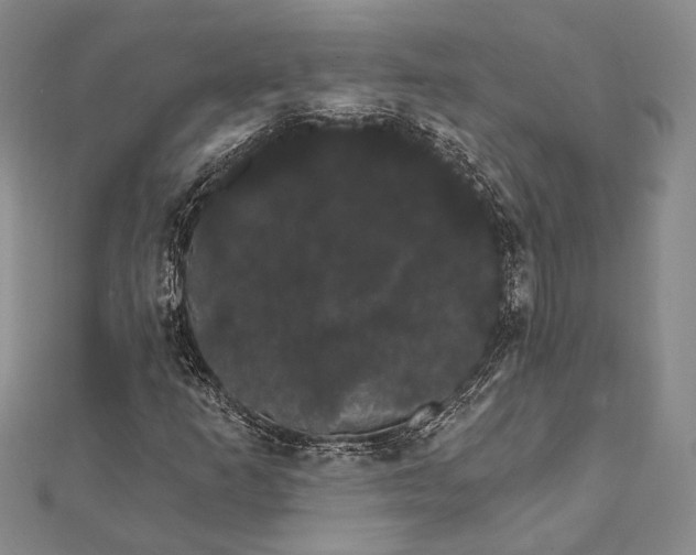 X0000111911253200908101153