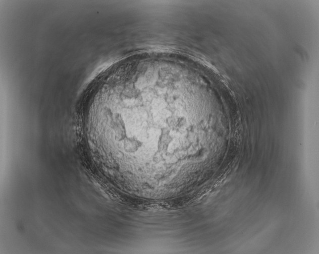 X0000111911255200908101153