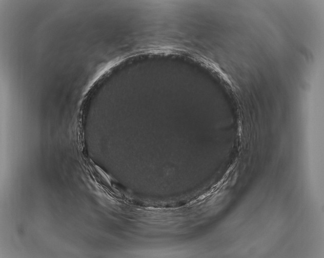 X0000111911256200908101153