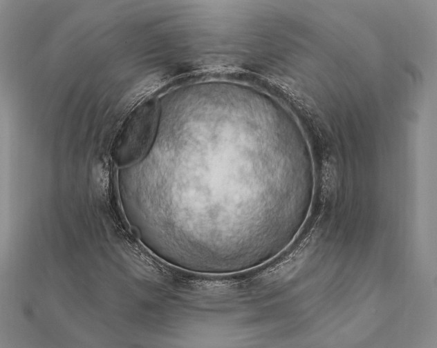 X0000111911257200908101153