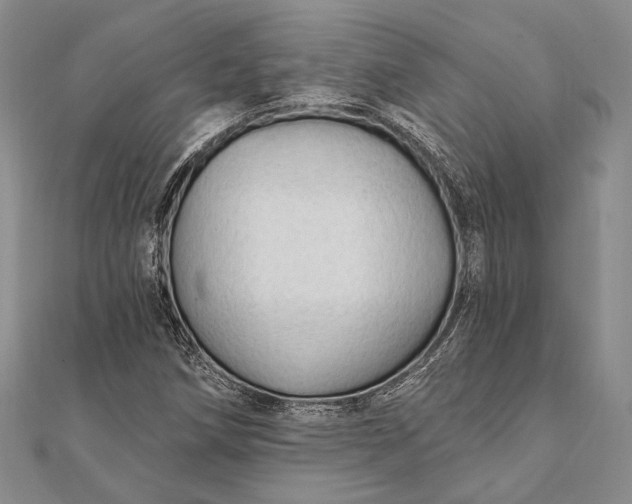 X0000111911258200908101153