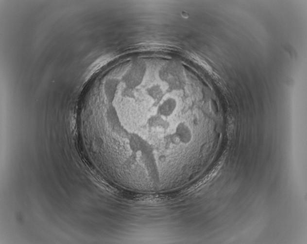 X0000111911259200908101153