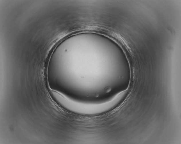 X0000111911260200908101153