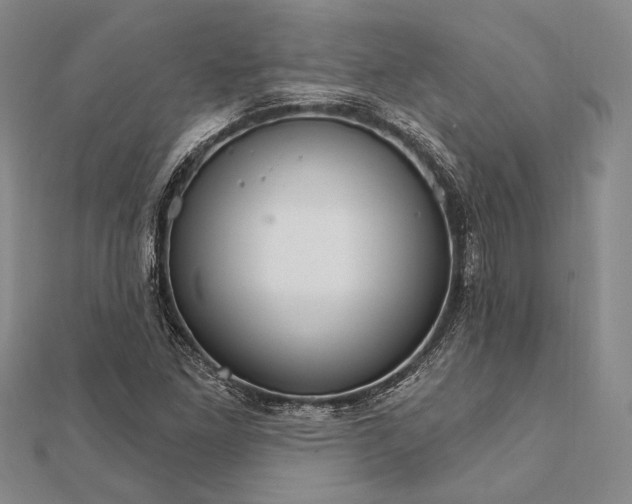 X0000111911261200908101153