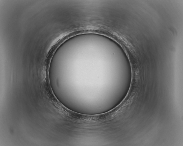 X0000111911262200908101153