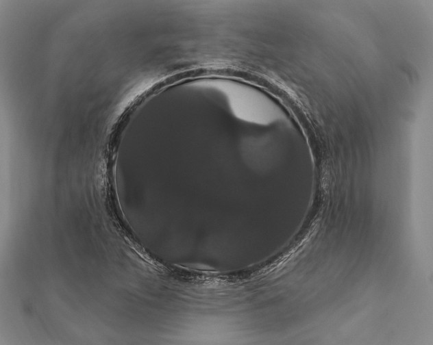 X0000111911263200908101153