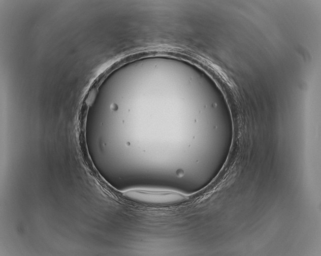 X0000111911264200908101153