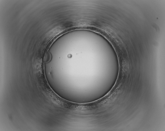 X0000111911265200908101153