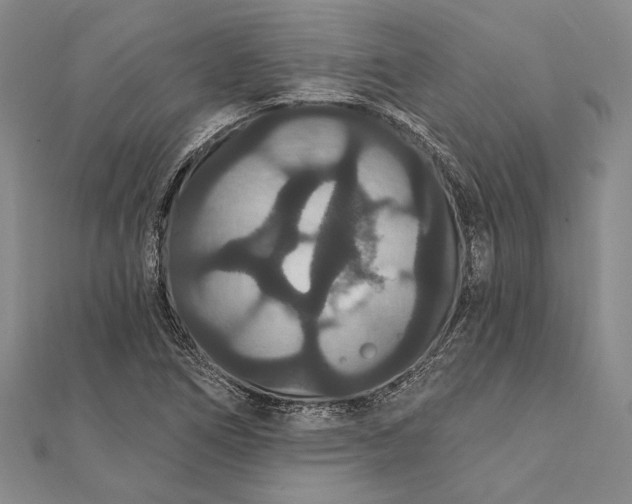 X0000111911266200908101153