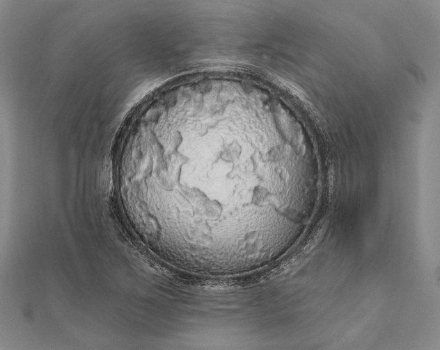 X0000111911267200908101153