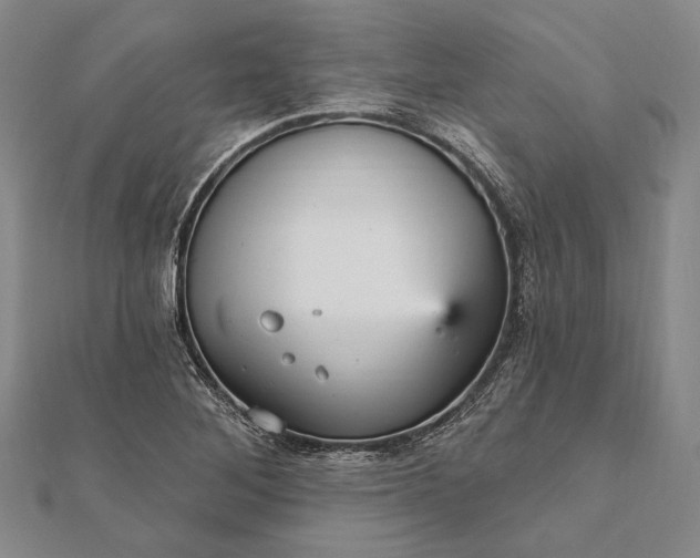 X0000111911268200908101153