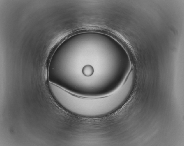 X0000111911269200908101153