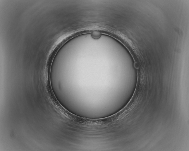 X0000111911270200908101153