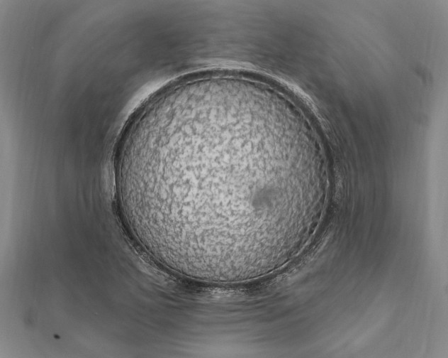 X0000111911271200908101153