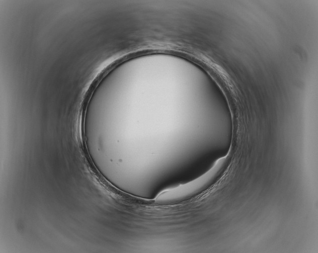 X0000111911272200908101153