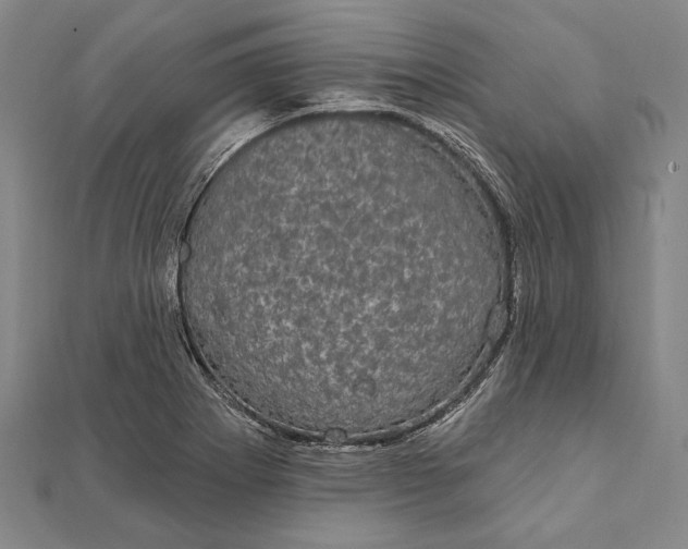 X0000111911273200908101153