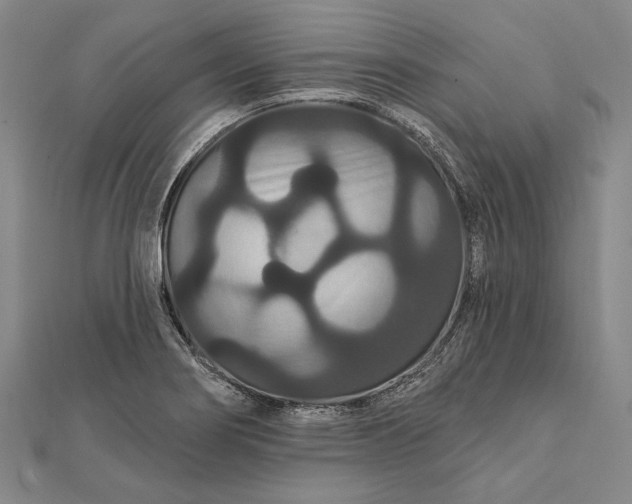 X0000111911274200908101153