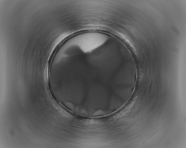 X0000111911275200908101153