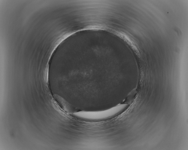 X0000111911276200908101153