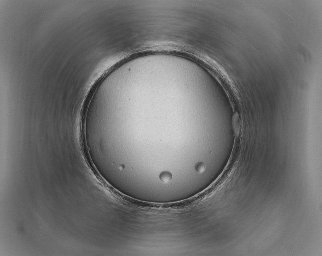 X0000111911277200908101153