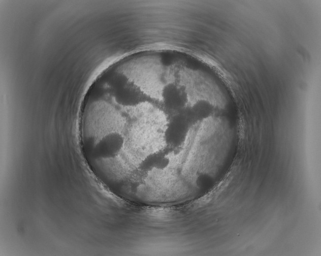 X0000111911278200908101153