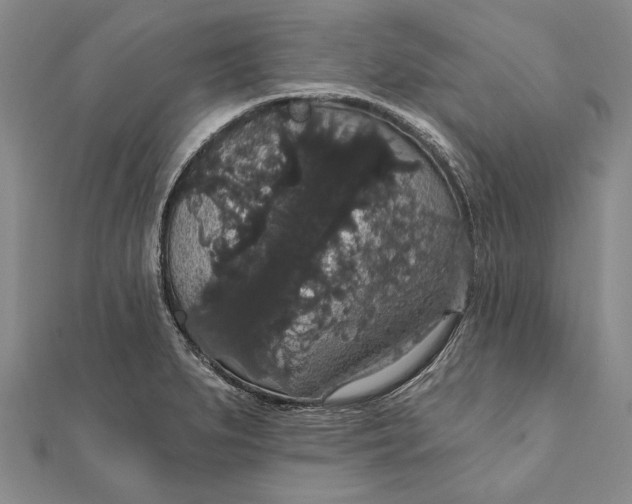 X0000111911279200908101153