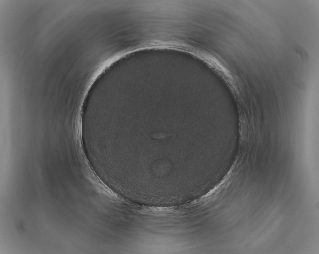 X0000111911280200908101153