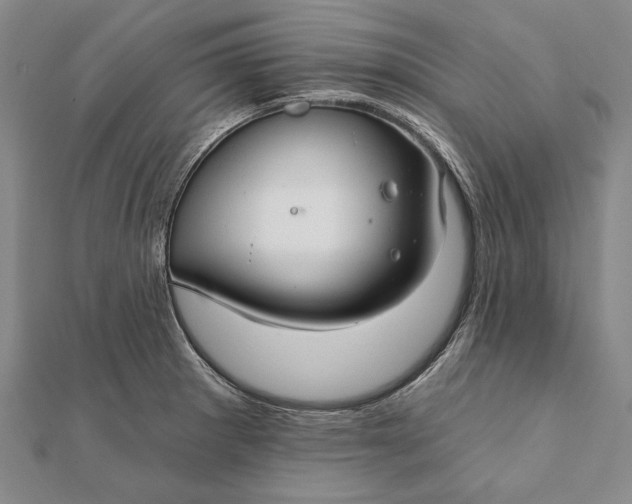 X0000111911281200908101153