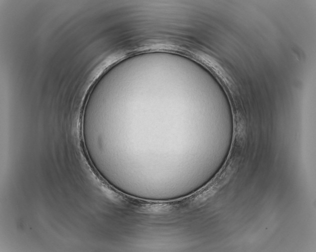 X0000111911282200908101153