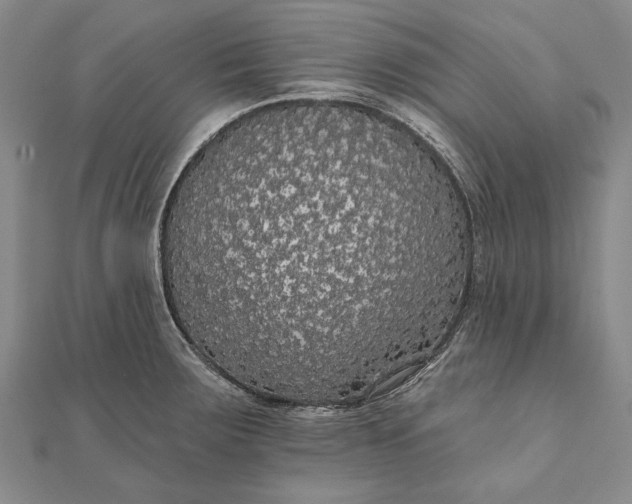 X0000111911283200908101153