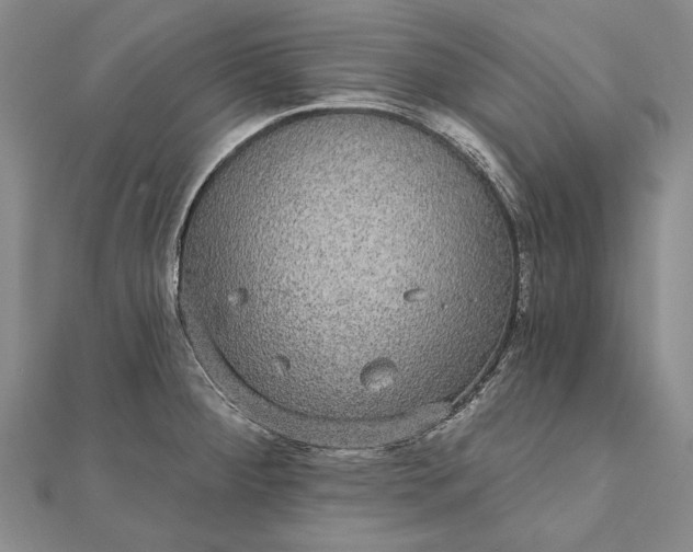 X0000111911284200908101153