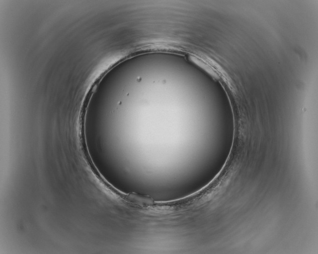 X0000111911285200908101153