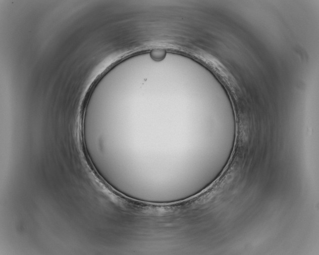 X0000111911286200908101153