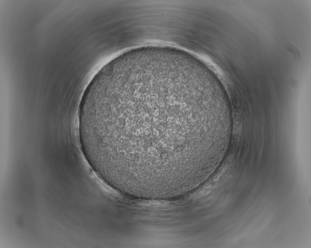 X0000111911287200908101153