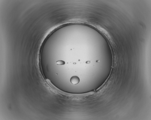 X0000111911288200908101153