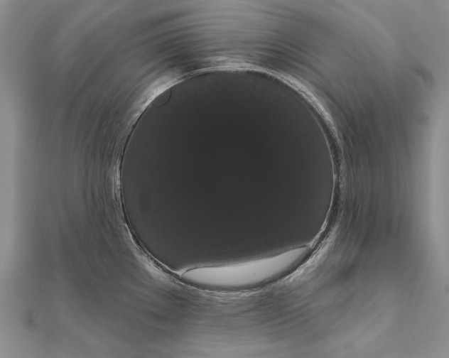 X0000111911289200908101153