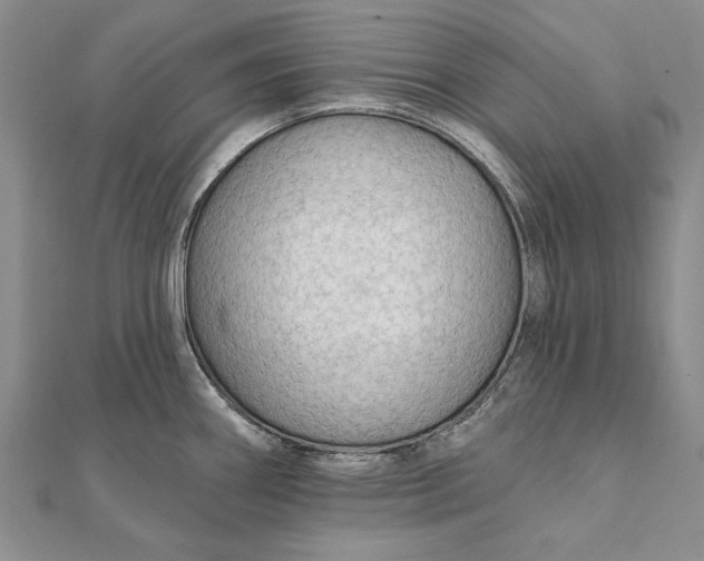 X0000111911290200908101153