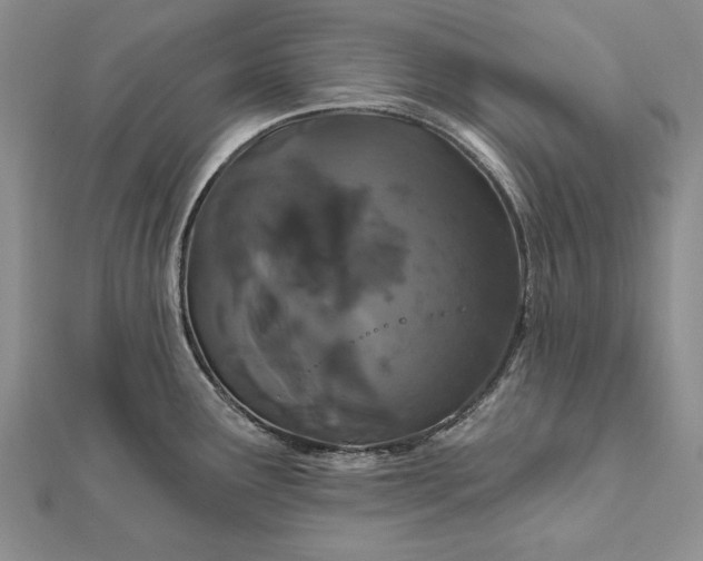 X0000111911291200908101153