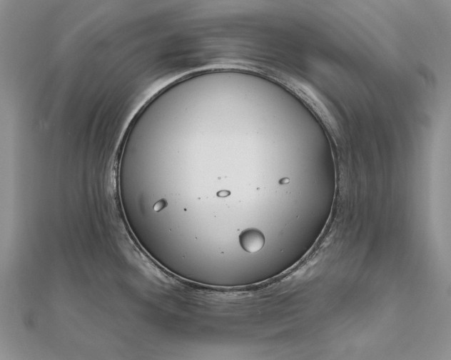 X0000111911292200908101153