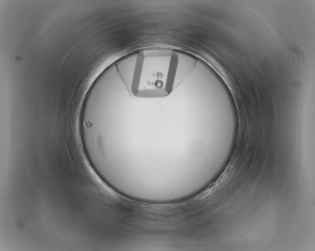 X0000111911293200908101153