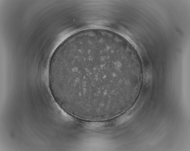 X0000111911294200908101153