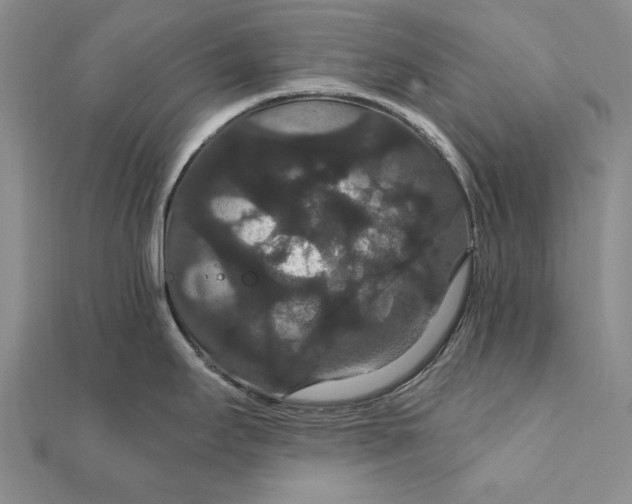 X0000111911295200908101153