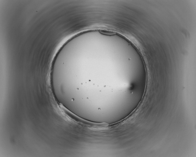 X0000111911296200908101153