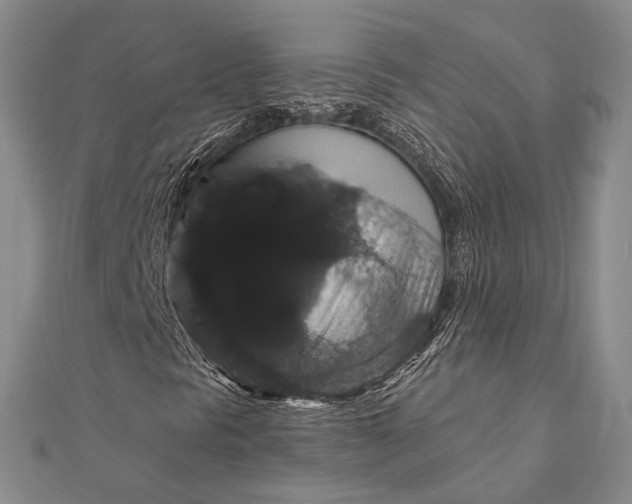 X0000111911297200908101152