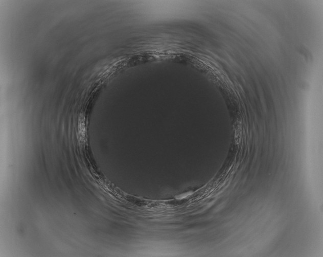 X0000111911298200908101152