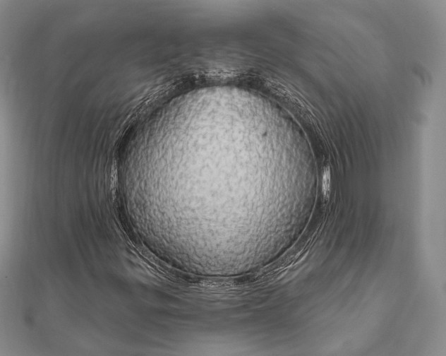 X0000111911299200908101152