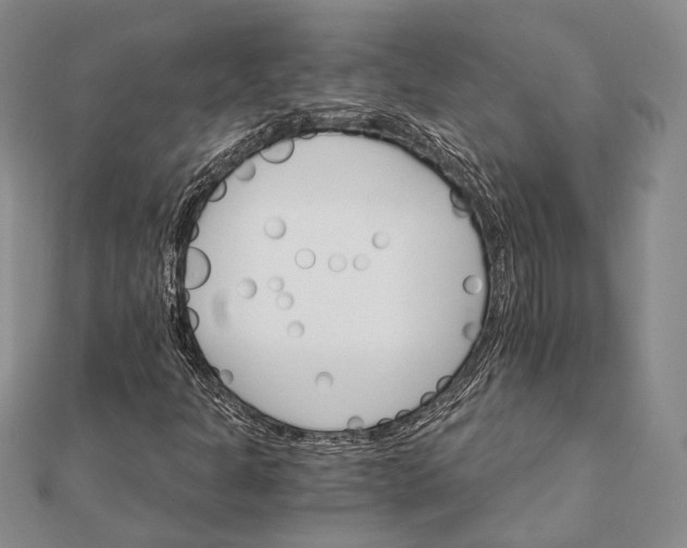 X0000111911301200908101152