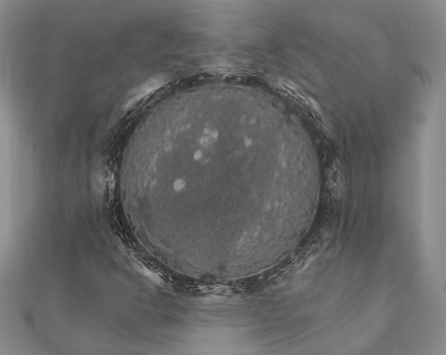 X0000111911302200908101152