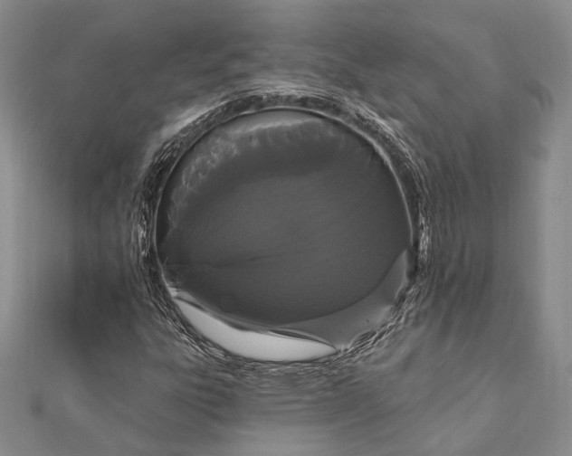 X0000111911303200908101152