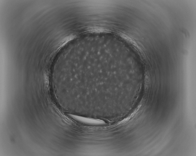 X0000111911305200908101152